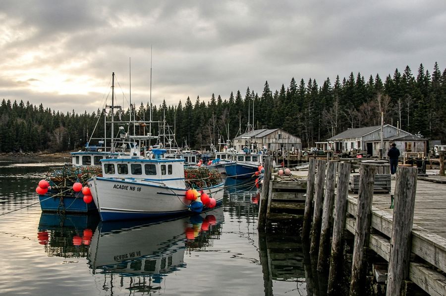 Paysage du Nouveau-Brunswick — Shippagan